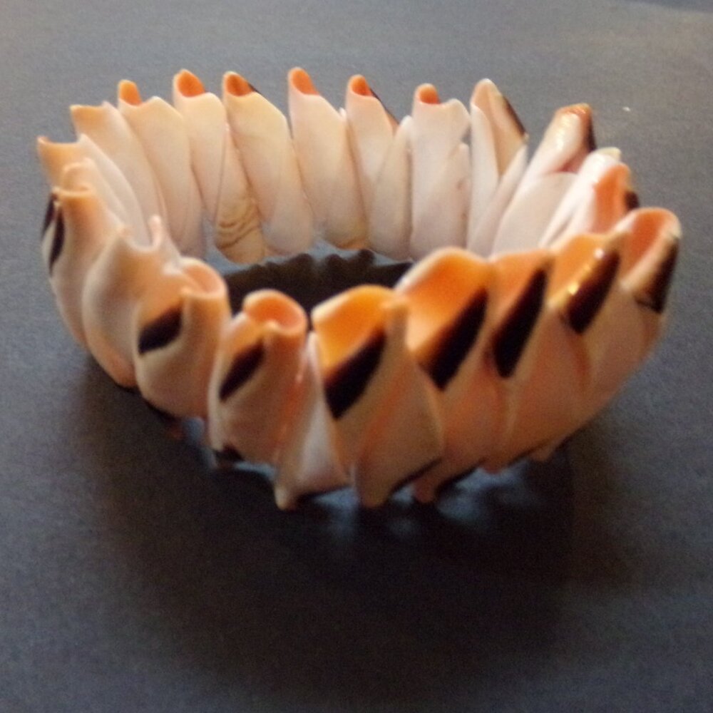 Pretty Shell Beach Vacation Ocean Cruise Stretch Bracelet